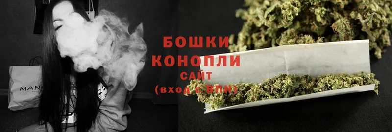 Конопля Ganja  Сясьстрой 